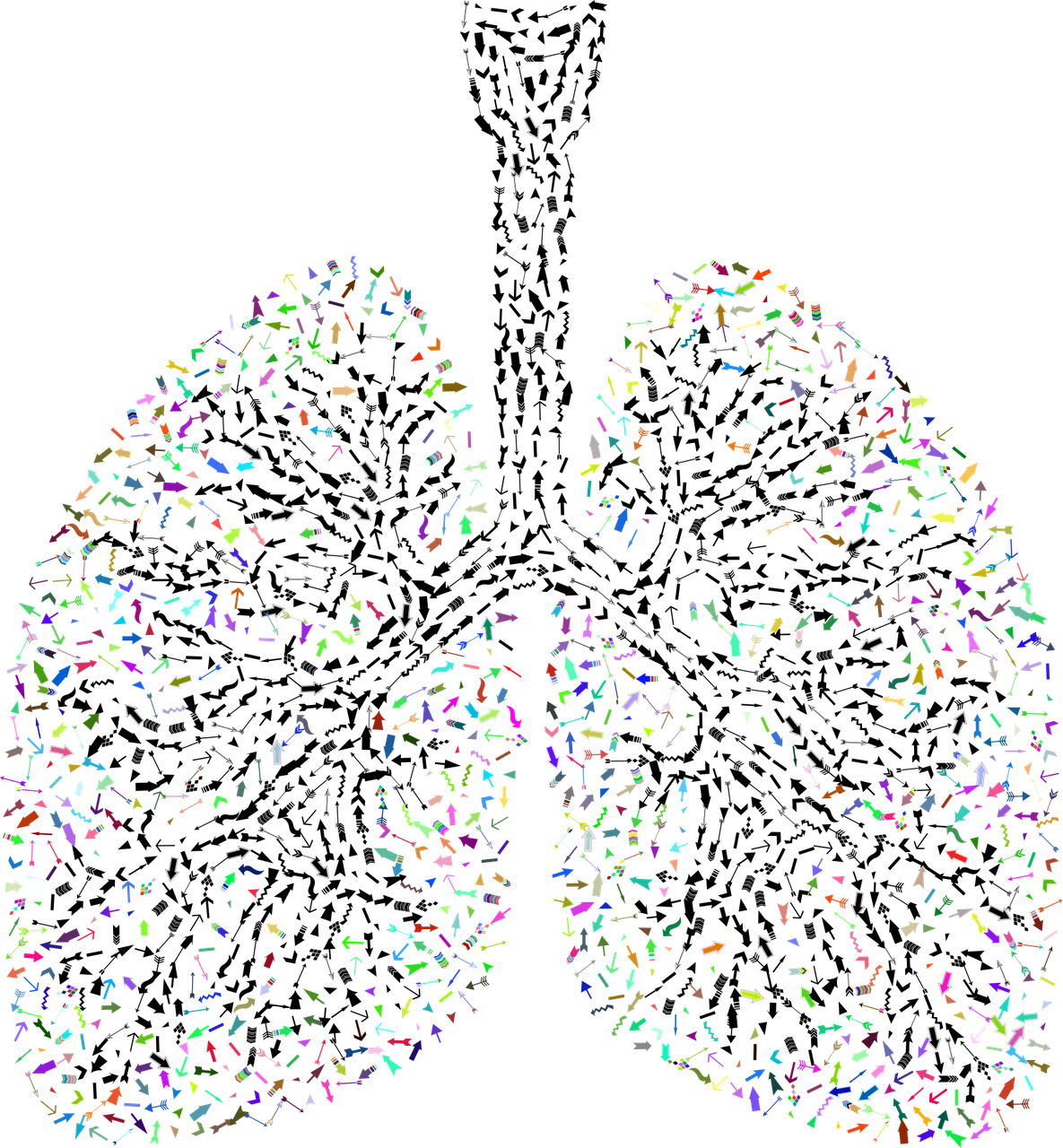 From Practice to Embodiment: Living the Breath