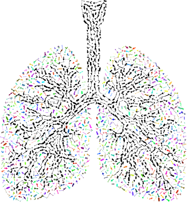 From Practice to Embodiment: Living the Breath